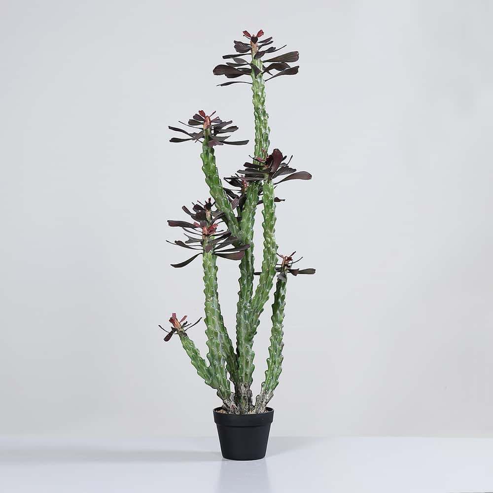 Kaktus, grønn/rød, 124 cm