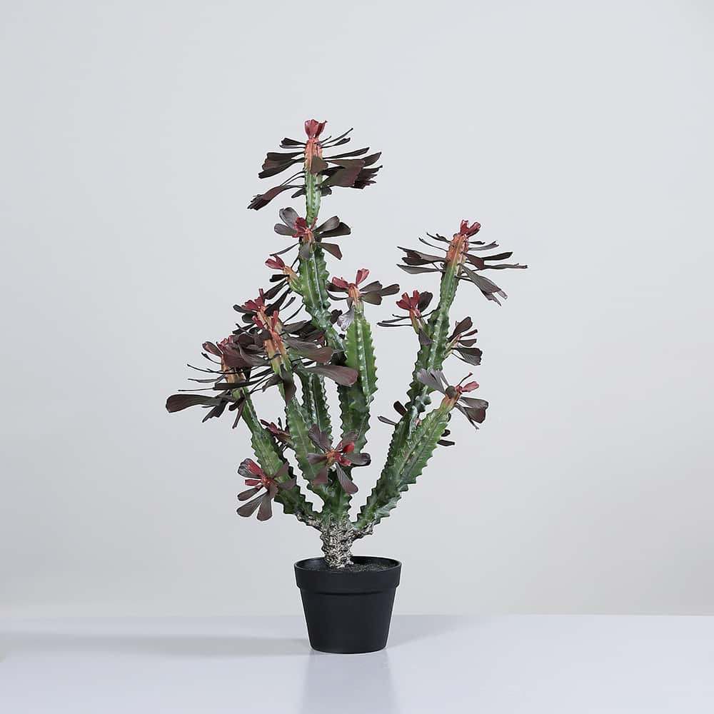 Kaktus, grønn/rød, 88 cm