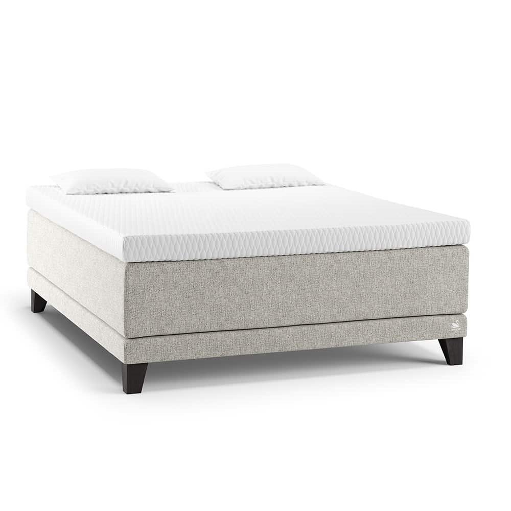 Dream Cotton