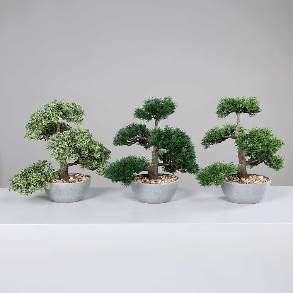 Bonsai i grå potte, 35 cm