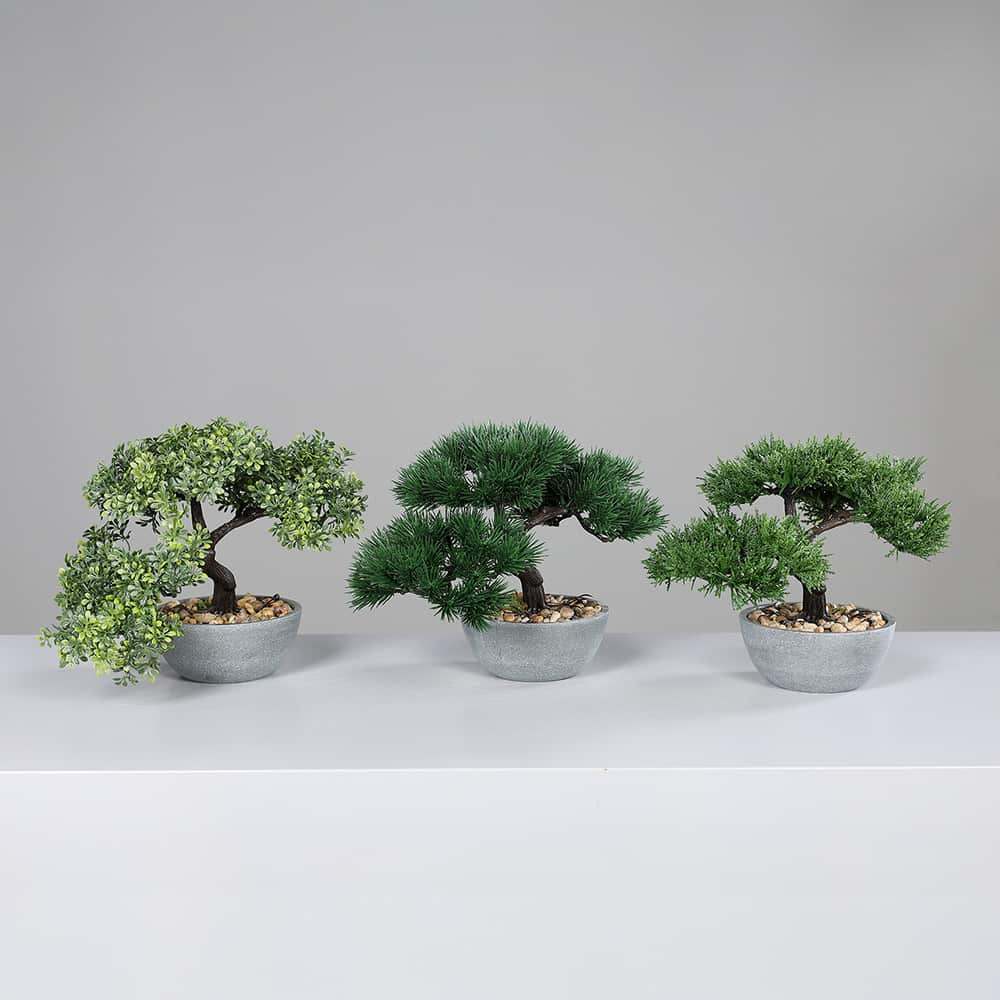Bonsai i grå potte, 24 cm